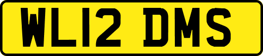 WL12DMS