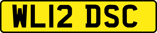WL12DSC