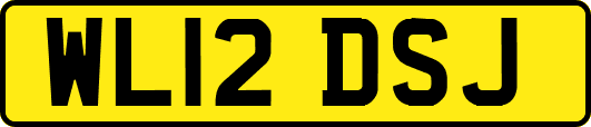 WL12DSJ