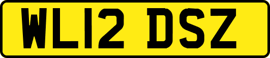 WL12DSZ