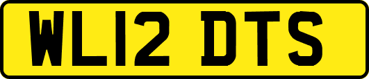 WL12DTS