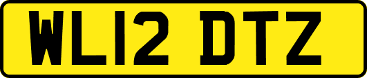 WL12DTZ