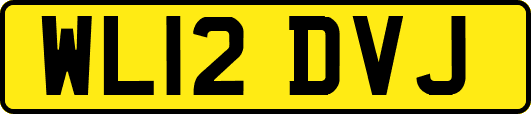 WL12DVJ