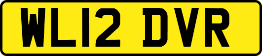 WL12DVR