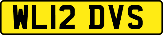 WL12DVS