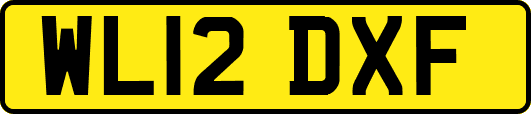 WL12DXF