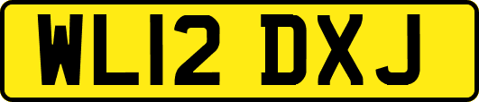WL12DXJ