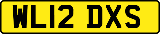 WL12DXS