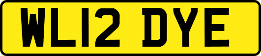 WL12DYE
