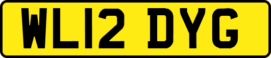 WL12DYG