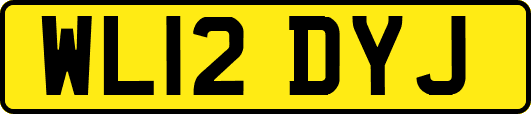 WL12DYJ