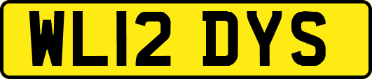 WL12DYS