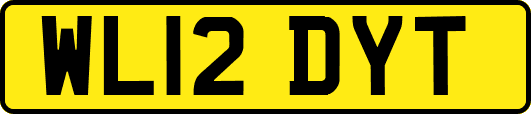 WL12DYT
