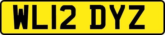 WL12DYZ