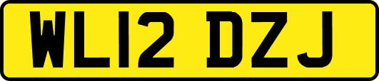 WL12DZJ