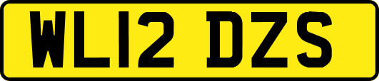 WL12DZS