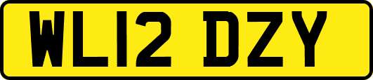 WL12DZY