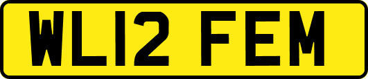 WL12FEM