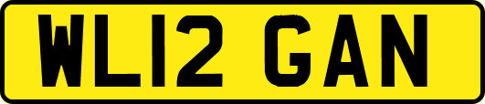WL12GAN