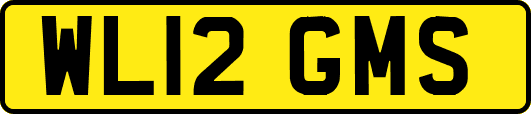 WL12GMS