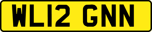 WL12GNN