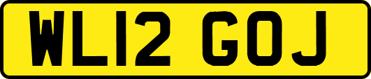 WL12GOJ