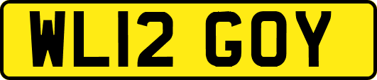 WL12GOY