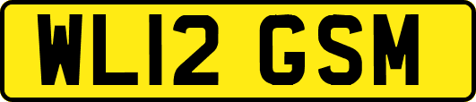WL12GSM