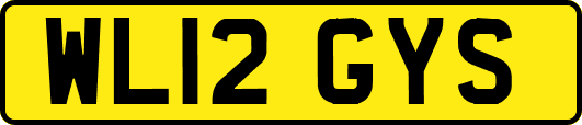 WL12GYS