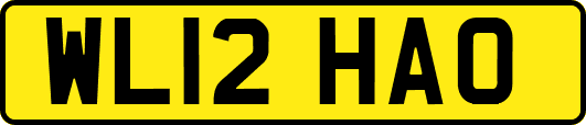 WL12HAO