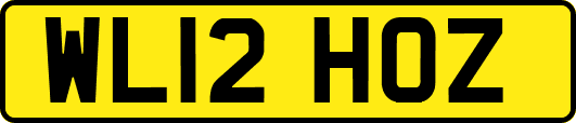 WL12HOZ