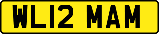 WL12MAM