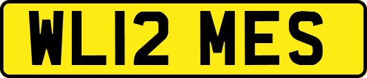 WL12MES