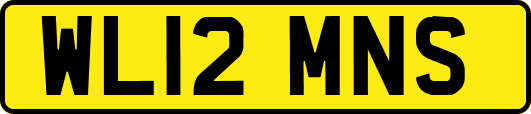 WL12MNS
