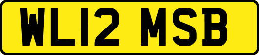 WL12MSB