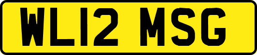 WL12MSG
