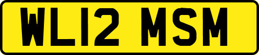 WL12MSM