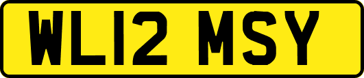 WL12MSY