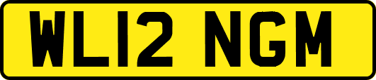 WL12NGM