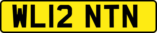 WL12NTN
