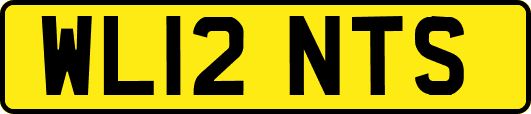 WL12NTS