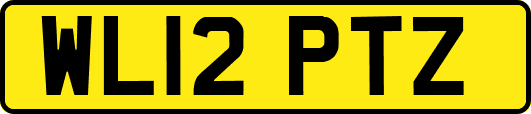 WL12PTZ