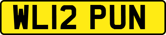 WL12PUN