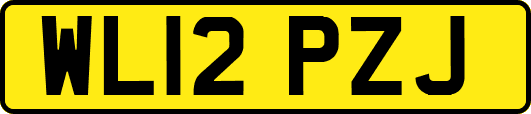 WL12PZJ