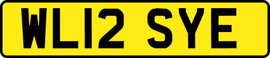 WL12SYE