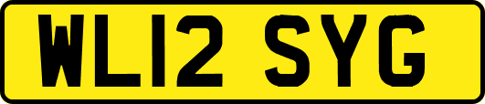 WL12SYG