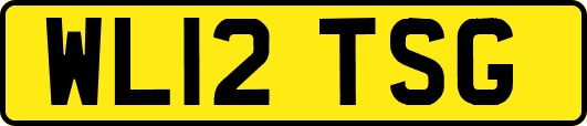 WL12TSG