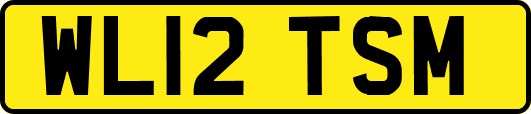 WL12TSM