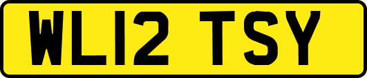 WL12TSY