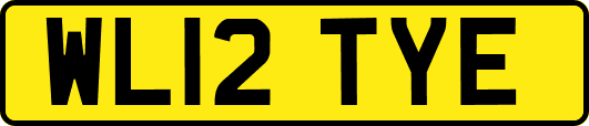 WL12TYE